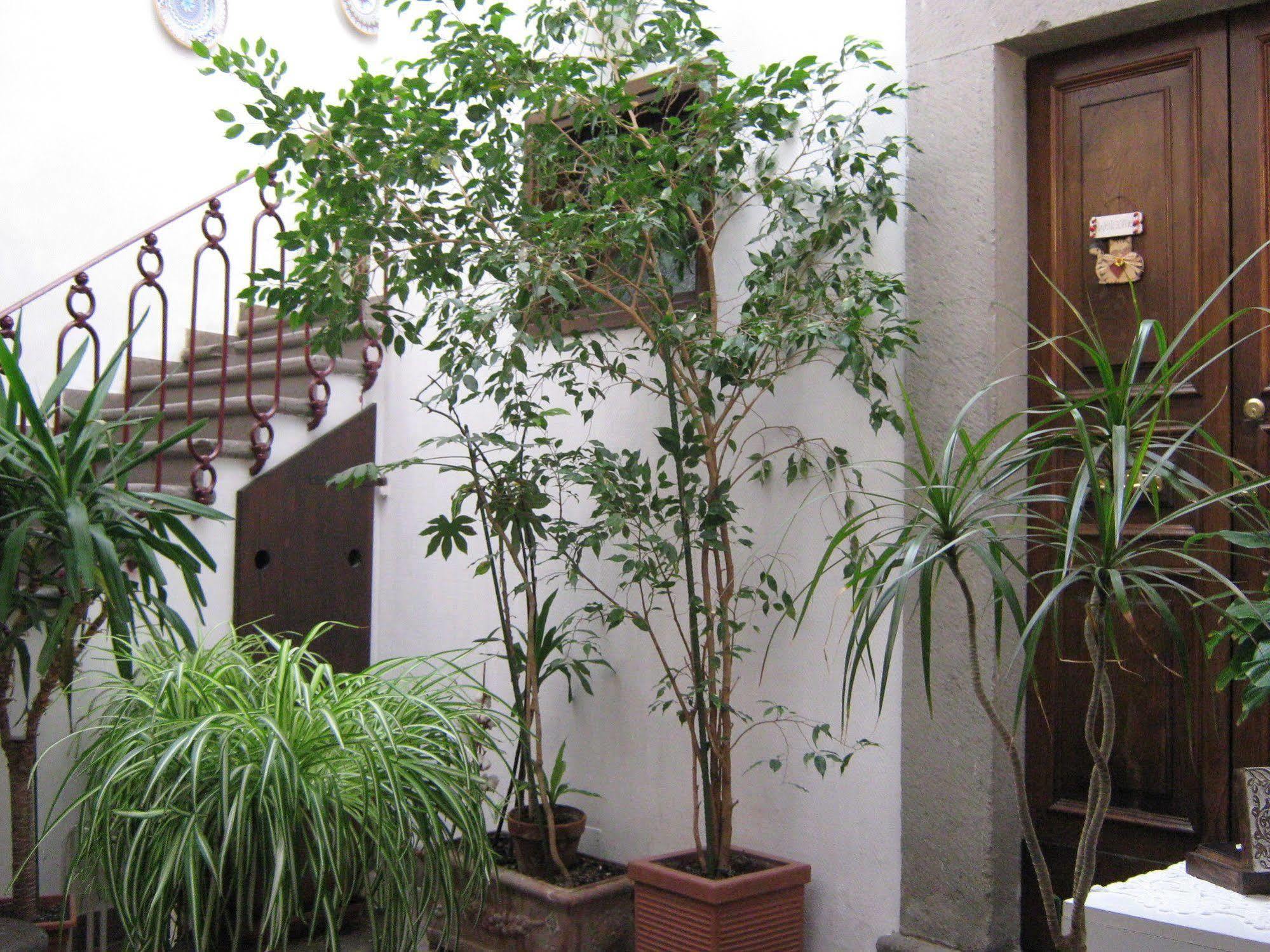 Bb Santa Rosa Bed & Breakfast Viterbo Dış mekan fotoğraf
